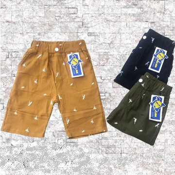 Pantalones de niños 